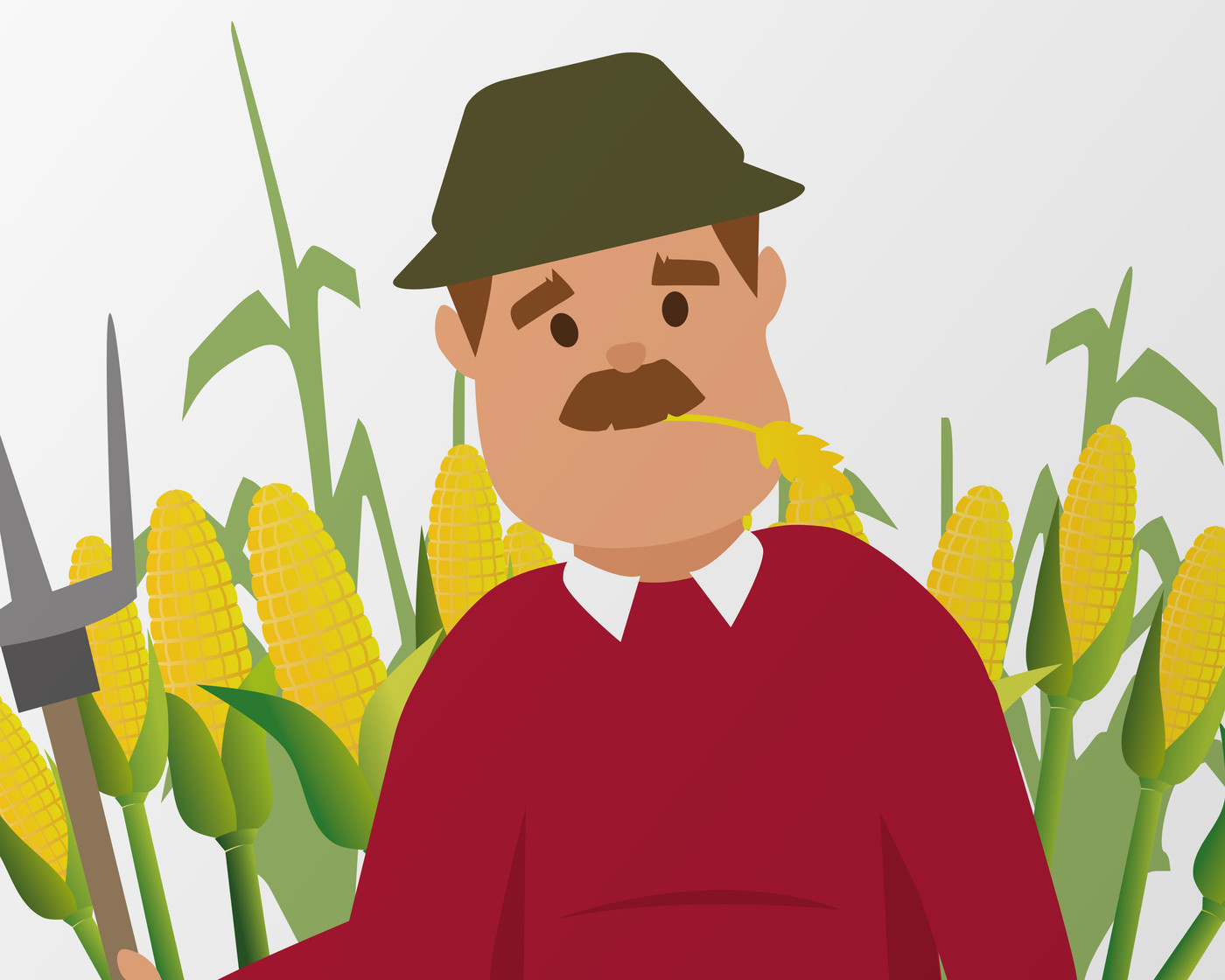 Maize Maze6