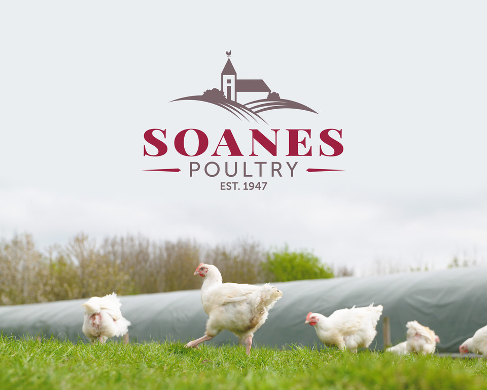 Soanes2